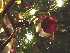 Detail of Our Tree 2007