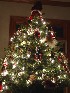 Santa Tree (The Little Tree)