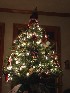 Santa Tree (The Little Tree)