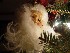 Detail of Santa Tree