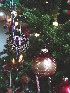 Detail Big Tree 2007