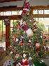 Santa Tree 2007