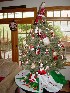Santa Tree 2007