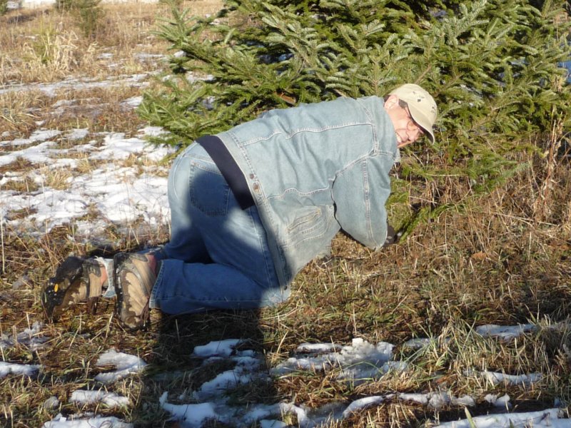 Detail of Tree Cutter in Task-Appropriate Attire