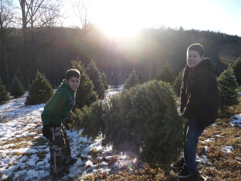 Kids taking Tree to Jeep