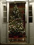 Christmas Tree from Outdoors