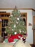 Small Christmas Tree in Family Room