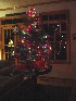 Small Christmas Tree in Family Room