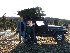 Large Tree on Jeep with Paul, Tom and Ted