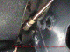 Tube from compressor