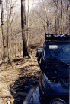 Jeeps