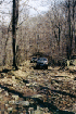 Jeeps