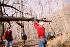 Fallen tree removal