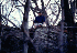Jim on rock outcrop on Backbone