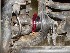 After lubricating Axle Tube end seal