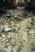 First Obstacle