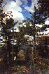 View on the Trail