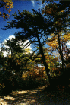 View on the Trail