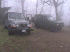 Hector and Eric's in the mist