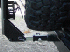 Detail of Hitch Adapter and pins