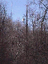 Fire tower atop Utz Hightop