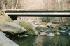 Bridge Option
