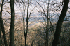 The View