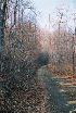 Nice Trail