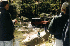 Stream Crossing