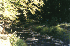 Rapidan