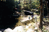 Stream Crossing