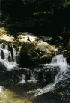 Rapidan