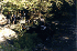 Stream Crossing