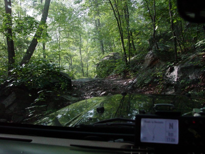 On the Trail - Click to Enlarge