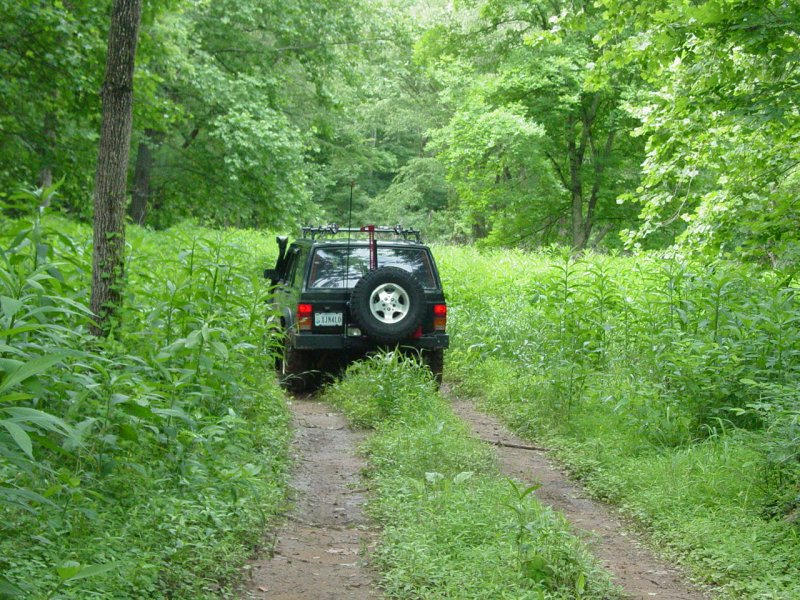 Jason on the trail - Click to Enlarge