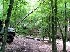 Movie: mov05655.mpg Not Entered
