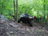 Obstacle on Trail 2