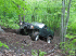 Obstacle on Trail 2
