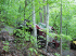 Obstacle on Trail 2