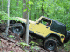 Obstacle on Trail 2