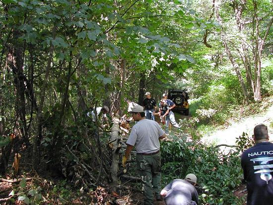 Trail Crew clearing fallen Deadwood