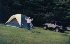 Camp Smith