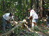 Trail Crew