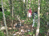 Old Long Run Clean-up