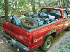 Steve's Pickup (full) - Click to Enlarge