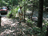 Old Long Run clean-up