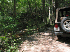 Old Long Run clean-up