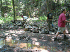 Closed illegal trail spur