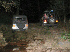 Old Long Run Night Run