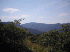 The View